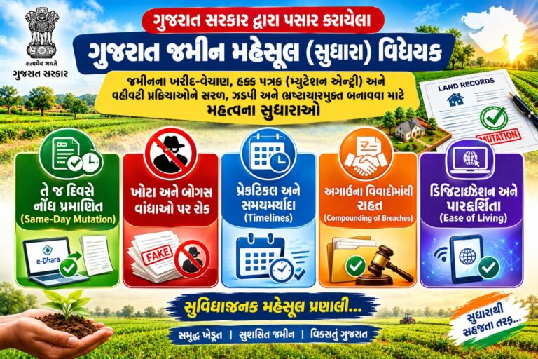 WhatsApp Image 2026-09-11 at 1.13.19 PM